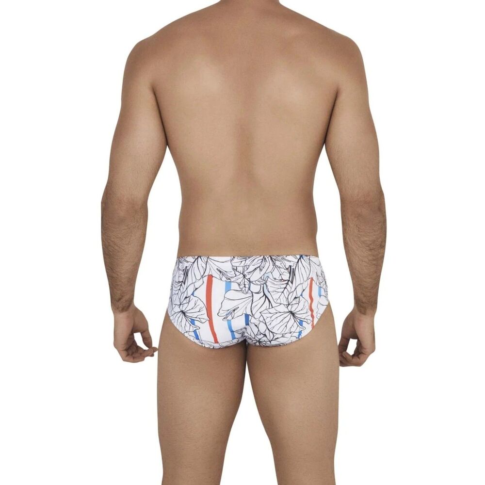 Clever 0546 Leaves Latin Briefs